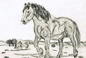Kaspar Harnisch Tiere malen zeichnen