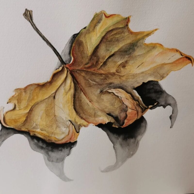 Herbstblätter in Aquarell